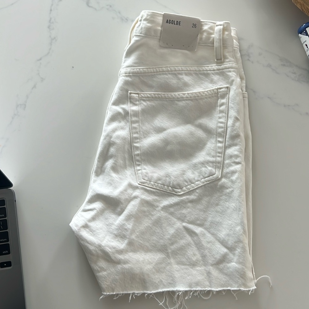 NWT Agolde 90’s Pinch Waist Short High Rise Straight